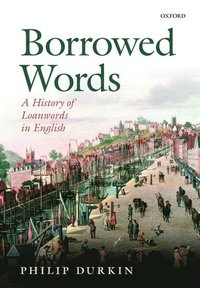 bokomslag Borrowed Words