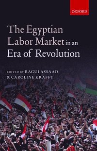 bokomslag The Egyptian Labor Market in an Era of Revolution