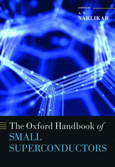 bokomslag The Oxford Handbook of Small Superconductors