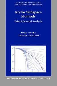 bokomslag Krylov Subspace Methods