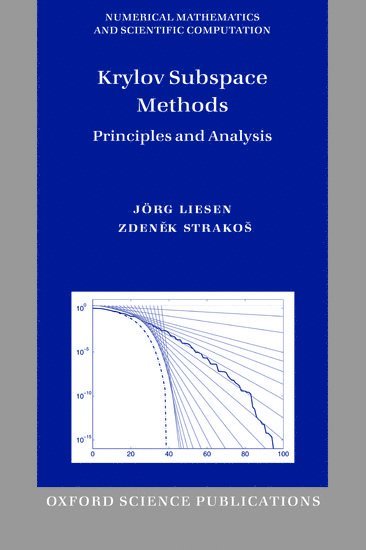 bokomslag Krylov Subspace Methods