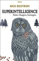 bokomslag Superintelligence