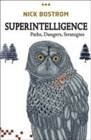 bokomslag Superintelligence: Paths, Dangers, Strategies