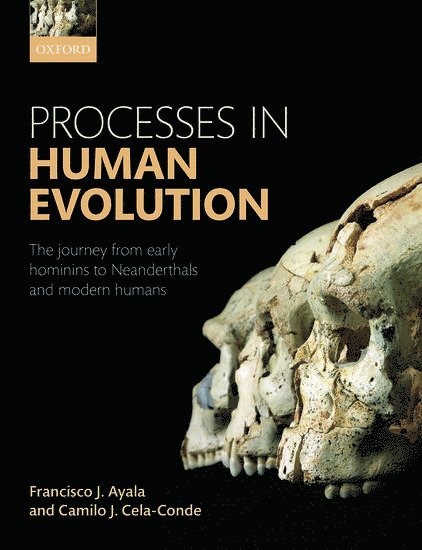 Processes in Human Evolution 1