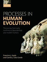 bokomslag Processes in Human Evolution