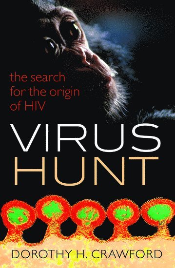 Virus Hunt 1