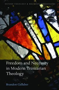 bokomslag Freedom and Necessity in Modern Trinitarian Theology