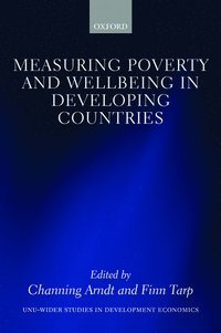 bokomslag Measuring Poverty and Wellbeing in Developing Countries