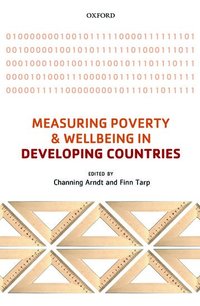 bokomslag Measuring Poverty and Wellbeing in Developing Countries