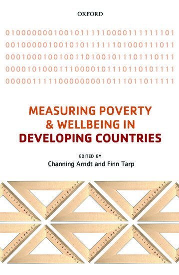 bokomslag Measuring Poverty and Wellbeing in Developing Countries