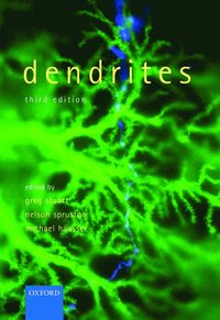 bokomslag Dendrites