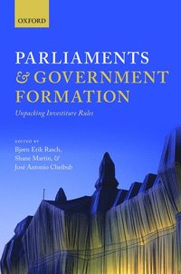 bokomslag Parliaments and Government Formation