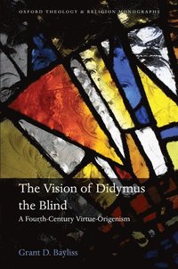bokomslag The Vision of Didymus the Blind