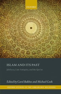 bokomslag Islam and its Past