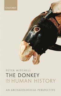bokomslag The Donkey in Human History