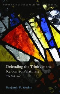 bokomslag Defending the Trinity in the Reformed Palatinate