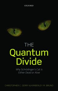 bokomslag The Quantum Divide