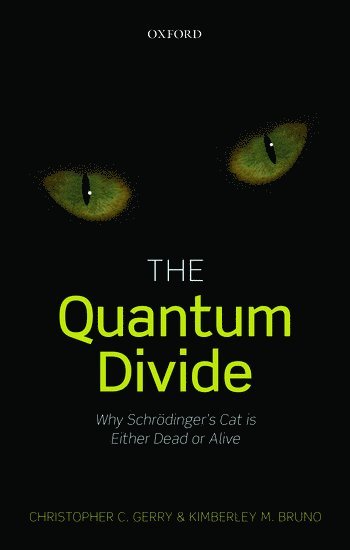 bokomslag The Quantum Divide