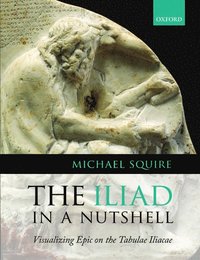 bokomslag The Iliad in a Nutshell