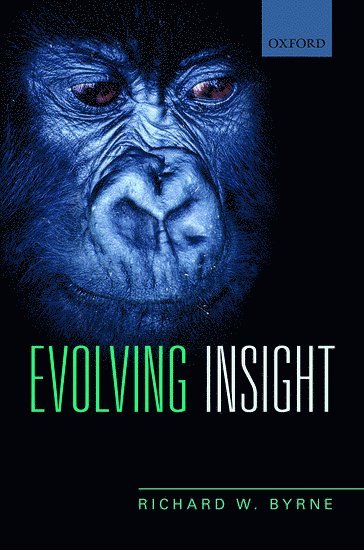 bokomslag Evolving Insight