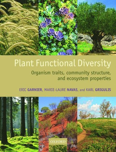 bokomslag Plant Functional Diversity