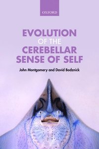 bokomslag Evolution of the Cerebellar Sense of Self