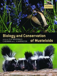 bokomslag Biology and Conservation of Musteloids