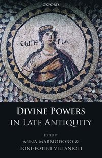 bokomslag Divine Powers in Late Antiquity