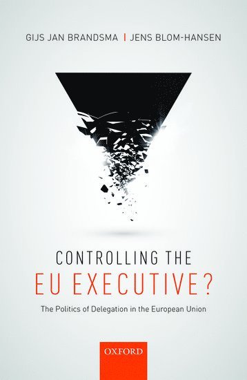 bokomslag Controlling the EU Executive?