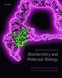 bokomslag Biochemistry and Molecular Biology