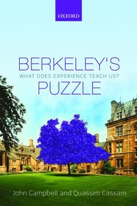 bokomslag Berkeley's Puzzle