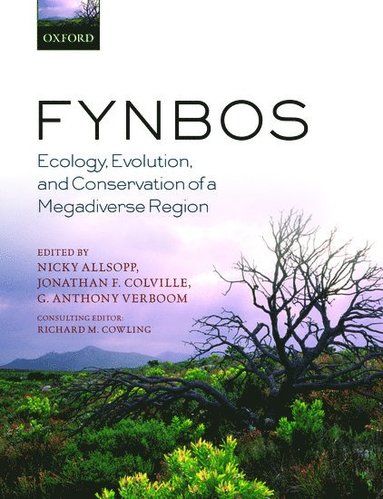 bokomslag Fynbos