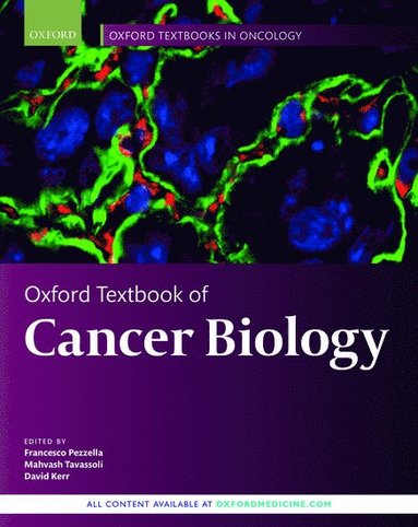 bokomslag Oxford Textbook of Cancer Biology