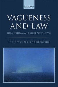 bokomslag Vagueness and Law