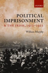 bokomslag Political Imprisonment and the Irish, 1912-1921