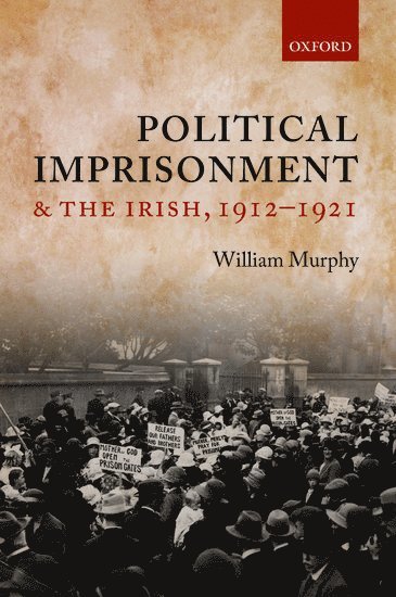 bokomslag Political Imprisonment and the Irish, 1912-1921
