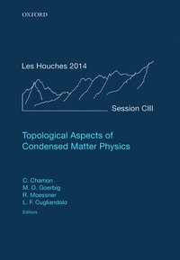 bokomslag Topological Aspects of Condensed Matter Physics