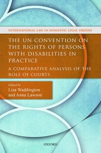 bokomslag The UN Convention on the Rights of Persons with Disabilities in Practice