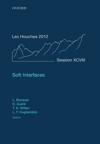bokomslag Soft Interfaces