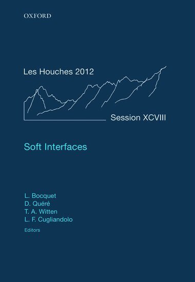 Lyderic Bocquet, LydÃ©ric Bocquet, David QuÃ©rÃ©, Thomas A. Witten, Leticia F. Cugliandolo - Soft Interfaces, Inbunden