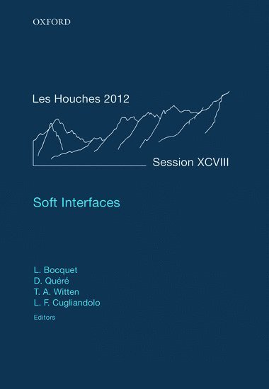 Soft Interfaces 1