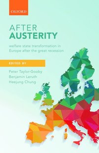 bokomslag After Austerity