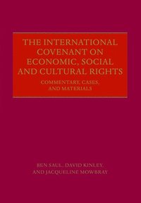 bokomslag The International Covenant on Economic, Social and Cultural Rights