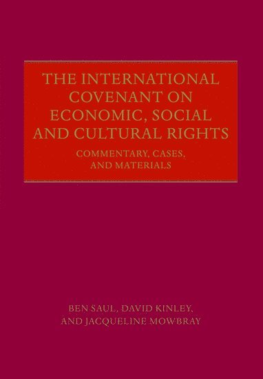 bokomslag The International Covenant on Economic, Social and Cultural Rights