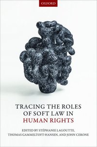 bokomslag Tracing the Roles of Soft Law in Human Rights