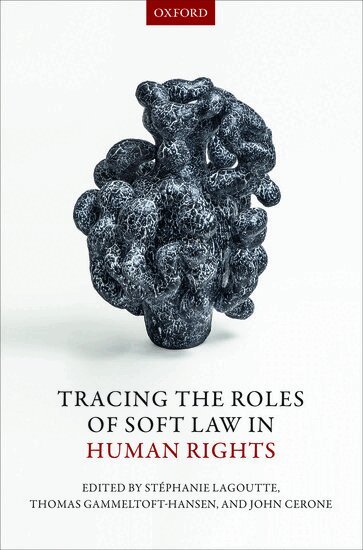 Stephanie Lagoutte, Stéphanie Lagoutte, Thomas Gammeltoft-Hansen, John Cerone - Tracing the Roles of Soft Law in Human Rights, Inbunden