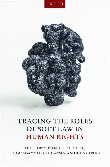 Tracing the Roles of Soft Law in Human Rights 1