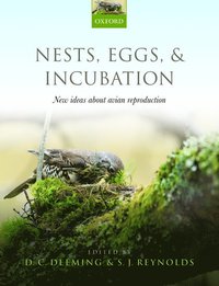 bokomslag Nests, Eggs, and Incubation