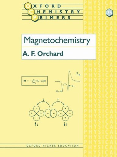 bokomslag Magnetochemistry