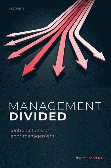 bokomslag Management Divided